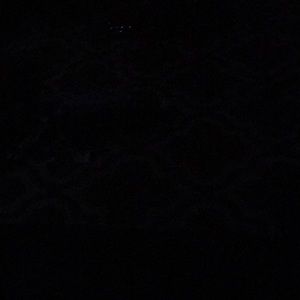 Meet your Posher, Stormie